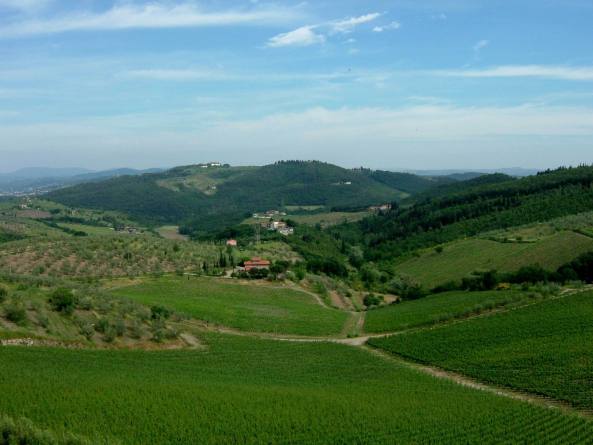 TOSKANIA - winnice w podflorenckim rejonie Carmignano